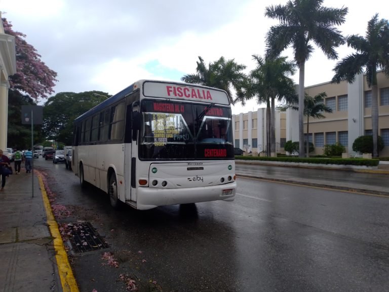 El gas natural permitiría un ahorro a las unidades del transporte público