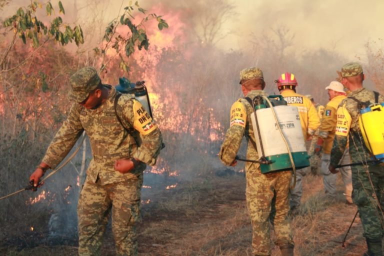 Ejército Mexicano apaga incendio en Acanceh