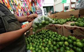 Precio del limón se estabiliza en Yucatán