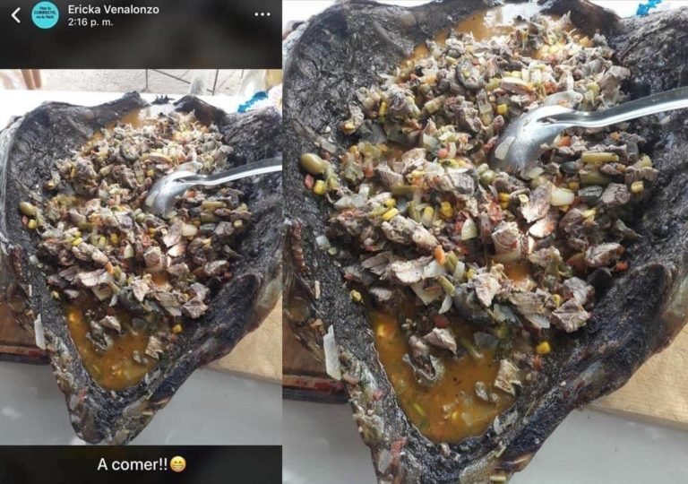 Regidor de Morena se come tortuga en peligro de extinción, la bautizan como #LADYCAGUAMA ?