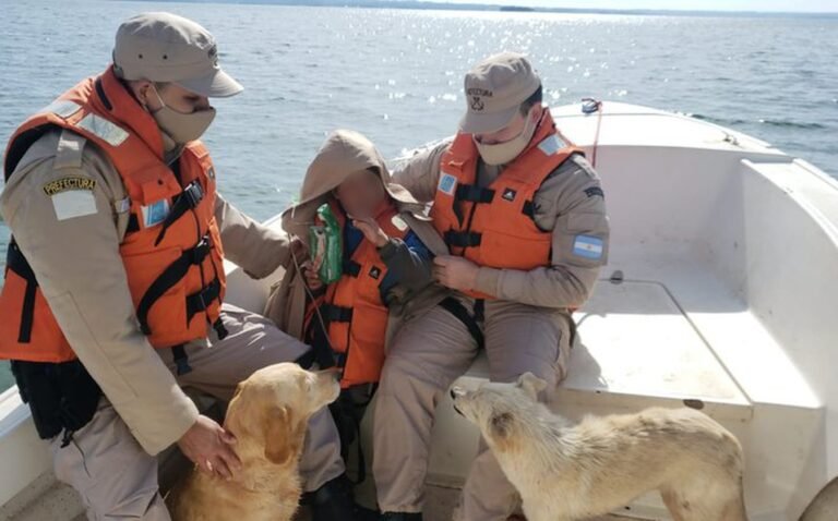 Niño se pierde y sobrevive la noche más fría del año; su perrito lo abrazó toda la noche