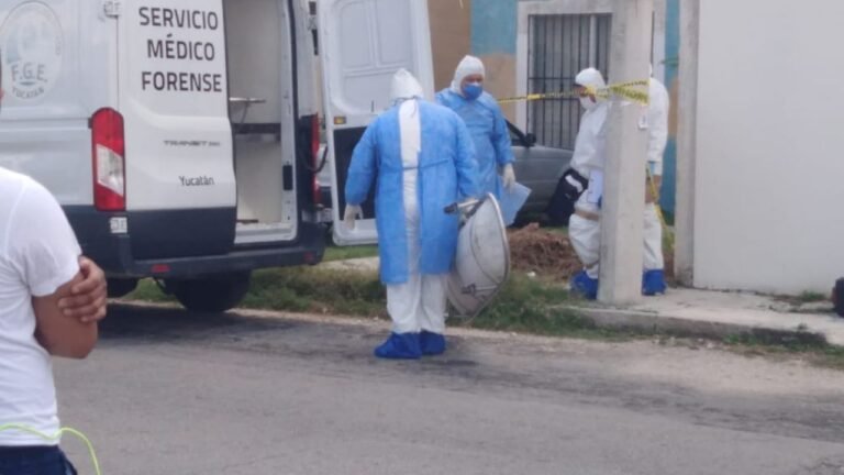 Borrador automático