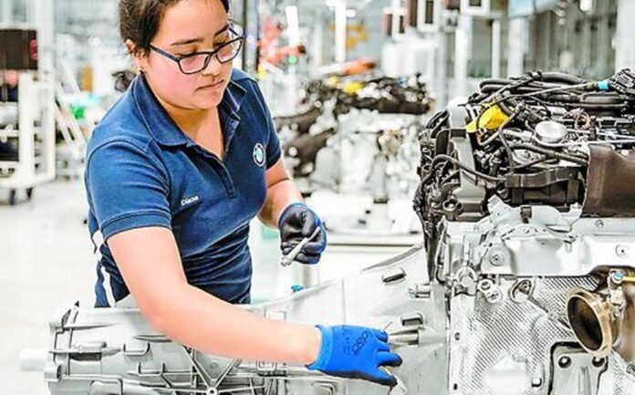 produccion-de-una-planta-en