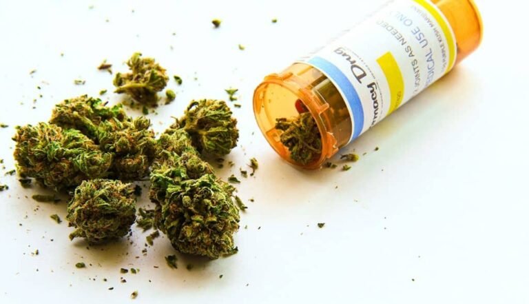 Empresas de cannabis se dicen listas para trámites de permisos