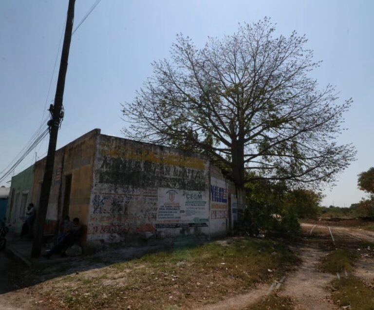 Proyecto en La Plancha no incluía desalojar a vecinos