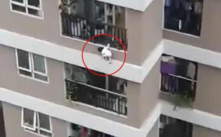 ¡Un héroe! Repartidor salva la vida de niña que cayó de 12 pisos de altura
