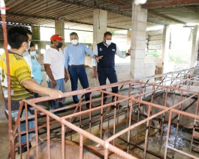 IMG-37518148-768x613-1