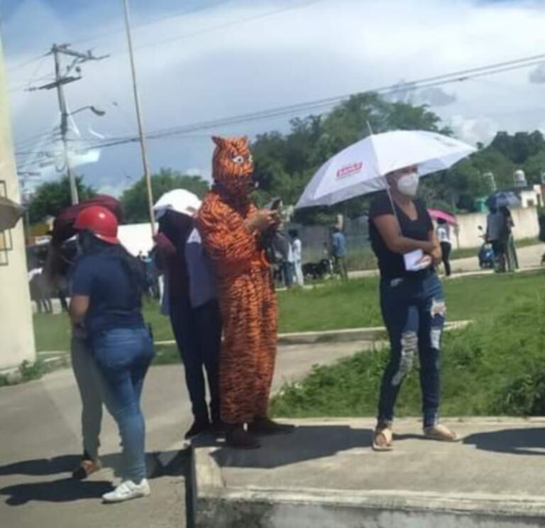 Contagios van al alza