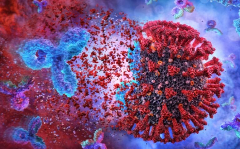 ¿Te contagiaste de coronavirus? Estudio advierte: Anticuerpos por infección covid-19 se mantienen más de un año