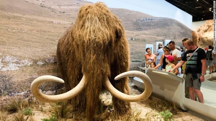 210913135400-woolly-mammoth-replica-file-exlarge-169