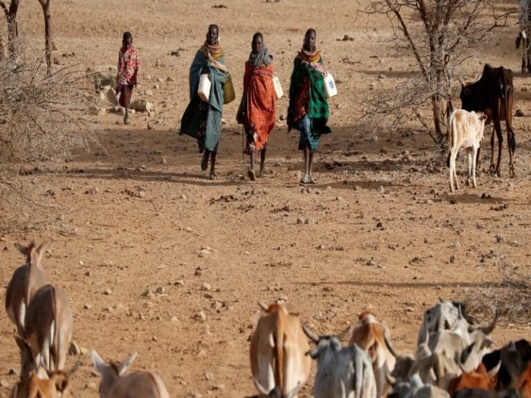 Somalia declara “estado de emergencia humanitaria” por sequía