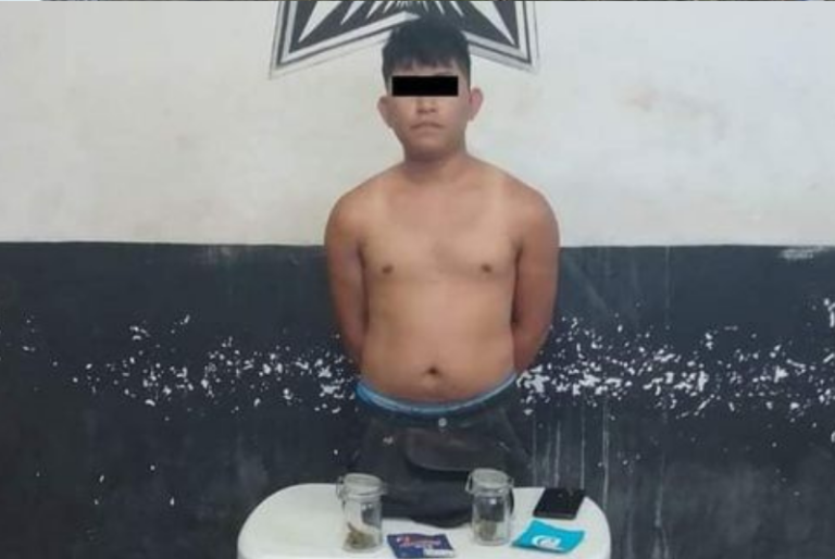 Papá delata a su hijo; el joven tenía plantas de mariguana en el baño de su propiedad en Tizimín