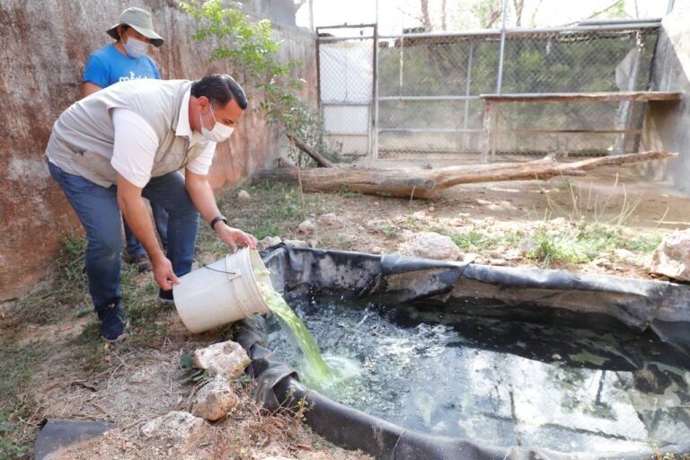 Promueven acciones para garantizar el cuidado y preservación de la fauna silvestre