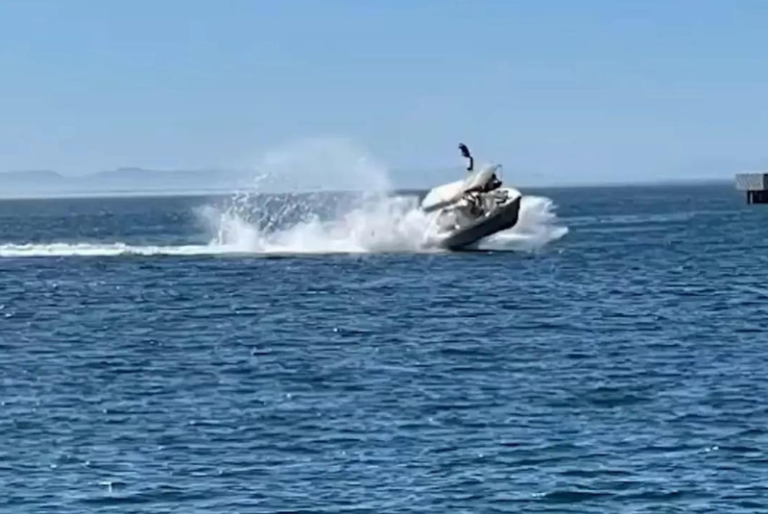 Turista vuela por los aires tras choque de embarcación con ballena; hay seis heridos