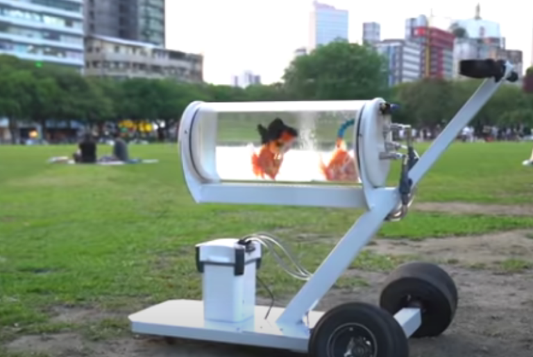 Youtuber crea curioso invento para pasear a sus peces: VIDEO