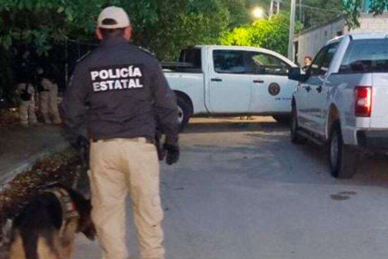 Realizan cateo en Progreso por narcomenudeo