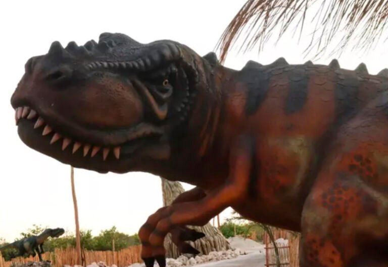 Diputados analizan precios altos del Sendero Jurásico