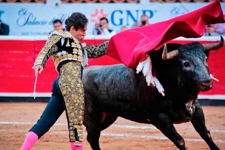 SCJN considera que corridas de toros y peleas de gallos no son patrimonio cultural