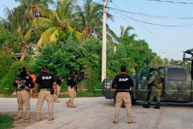 Fuerzas Federales catean tres predios en El Cuyo, Tizimín