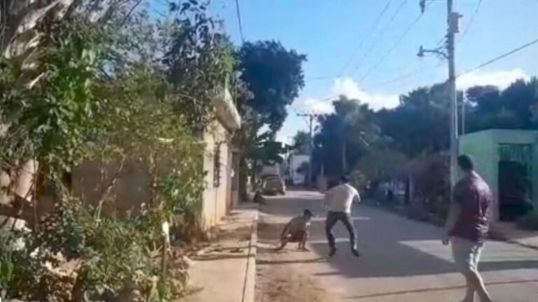 REGIDOR DE LA POLICÍA PROTAGONIZÓ UN PLEITO CON UN VECINO EN TICUL