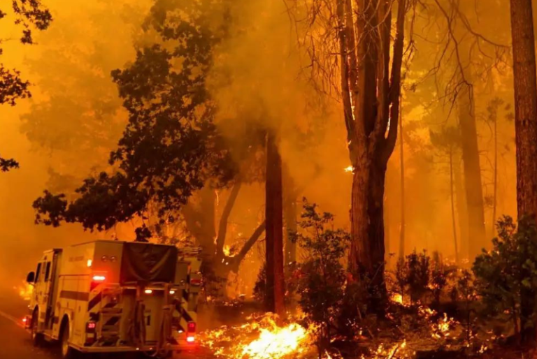 Incendio forestal en California arrasa con más de seis mil hectáreas