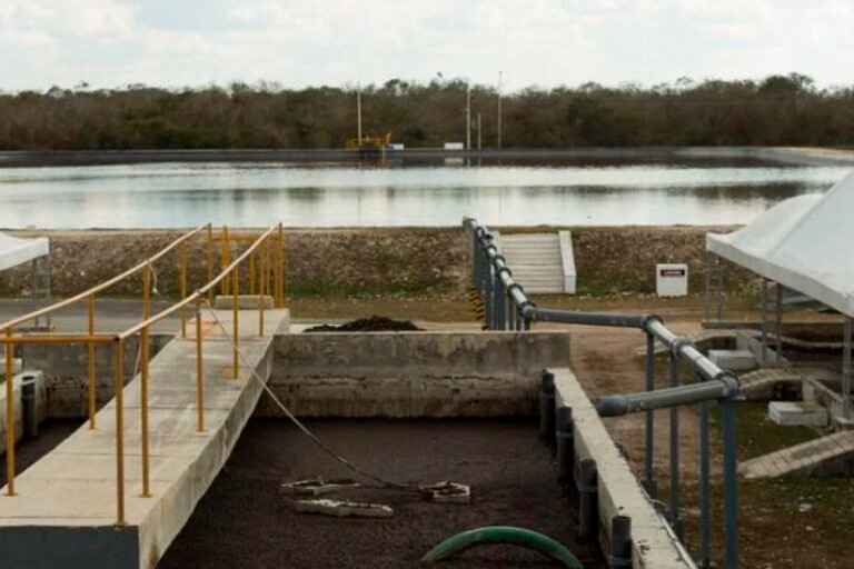 Piden revisar micro, pequeñas y medianas granjas porcícolas de Yucatán