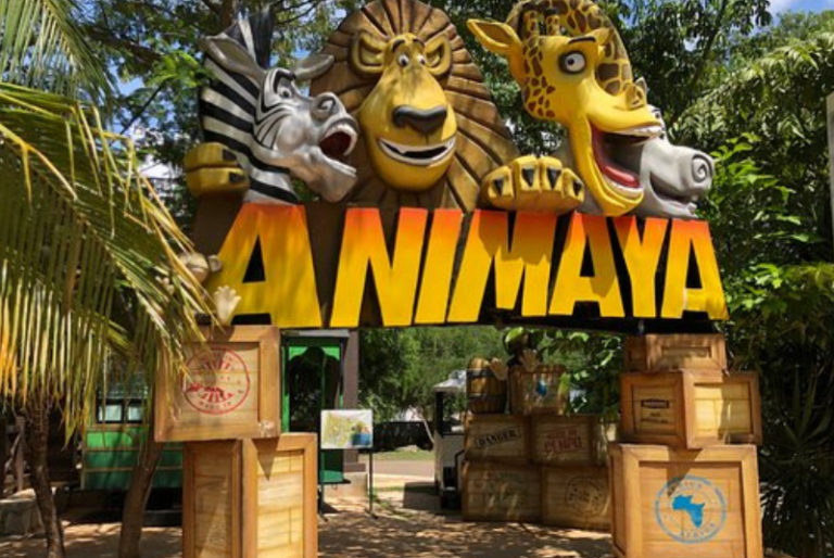 Circuito Aventuras, unirá los zoológicos y otros parques de Mérida