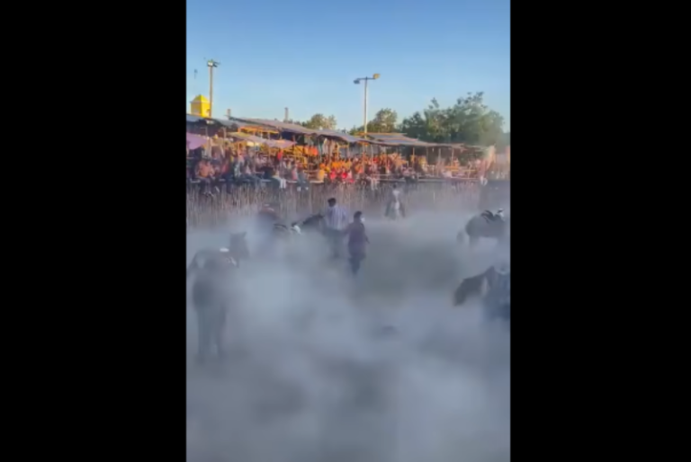 Carambola de caballos causa caos en torneo de lazo en Telchac, Yucatán: VIDEO