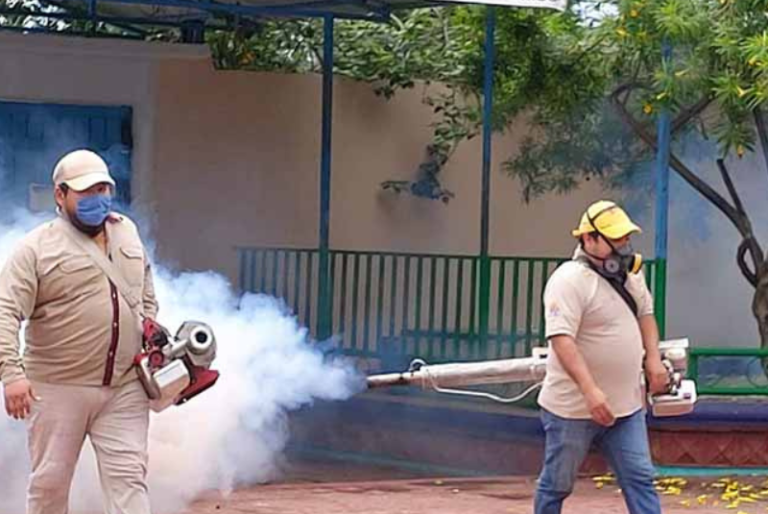 Yucatán acumula 83 casos de dengue