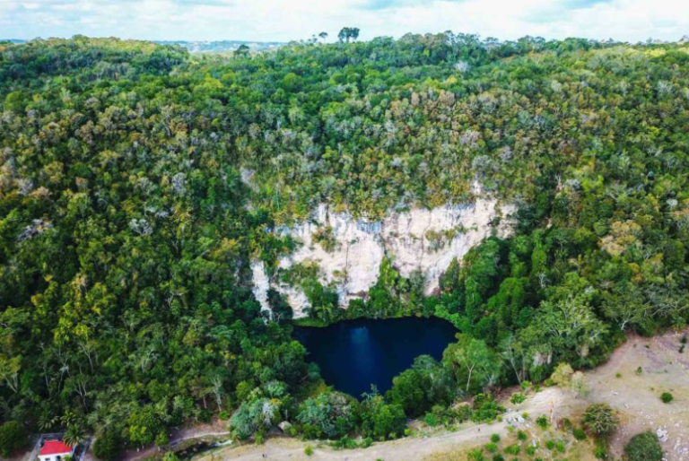 Cenote del Cocodrilo Dorado, el paraíso escondido en Quintana Roo