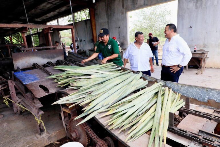 “¡Yucatán reverdecerá si caminamos juntos!”,  Renán Barrera.