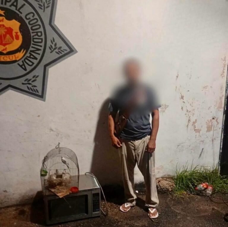 Frustran presunto robo a casa en Ticul y recuperan pertenencias de la víctima