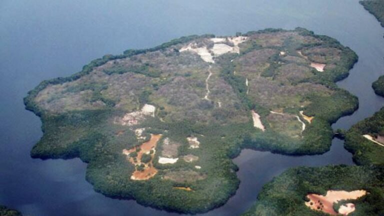 Revelando maravillas: Impactantes imágenes de la isla artificial construida por los mayas en la ruta del Tren Maya