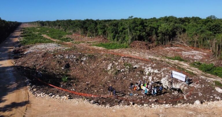 El Tren Maya: un desastre ecológico bajo el manto del progreso