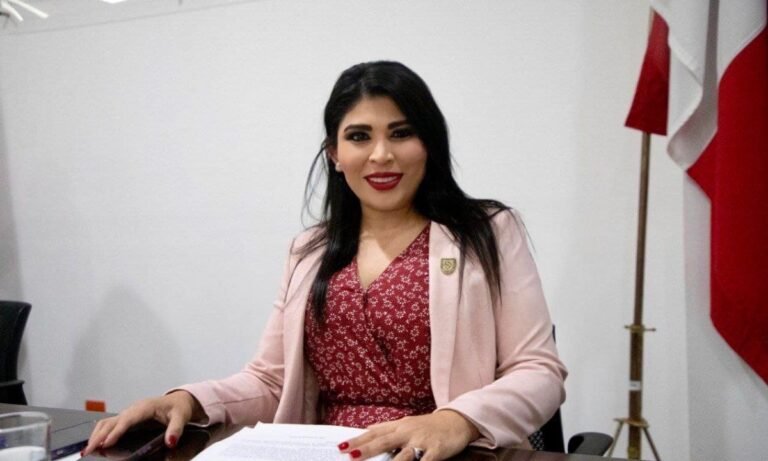 Diputada exhibe contradicciones de Díaz Mena sobre deuda pública