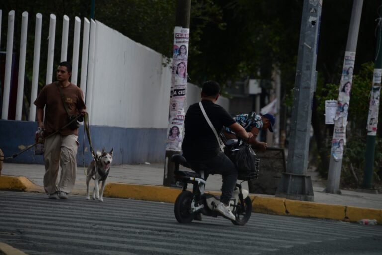 Urge regular bicicletas y patinetas eléctricas