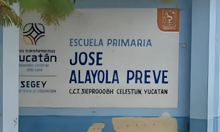 Intoxicación de niños y adultos en primaria de Celestún: interviene la Secretaría de Salud de Yucatán