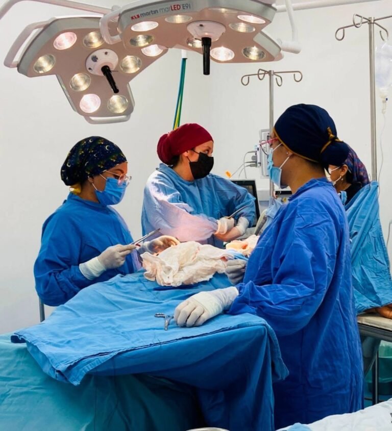 IMSS Yucatán reconoce a mujeres médicas por su liderazgo y vocación en favor de la salud pública