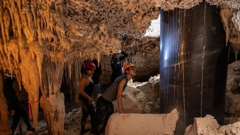 Tribunal ordena suspender obras del Tren Maya en tramos 5 y 7 por daño ambiental y falta de permisos