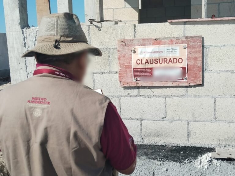 Profepa refuerza vigilancia en manglares de Chelem; repone sellos, asegura maquinaria y clausura otro predio