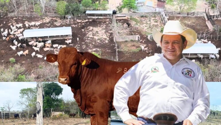 FORTUNA GANADERA BAJO LA LUPA: SEÑALAN OPACIDAD EN BIENES DEL GOBERNADOR DE YUCATÁN